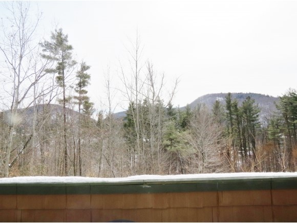 74 Spaulding Road, Unit UI4 Cavendish, VT 05153 - Photo 31 of 36