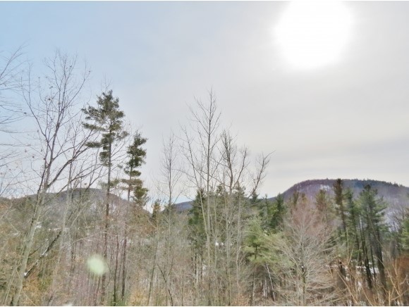 74 Spaulding Road, Unit UI4 Cavendish, VT 05153 - Photo 32 of 36