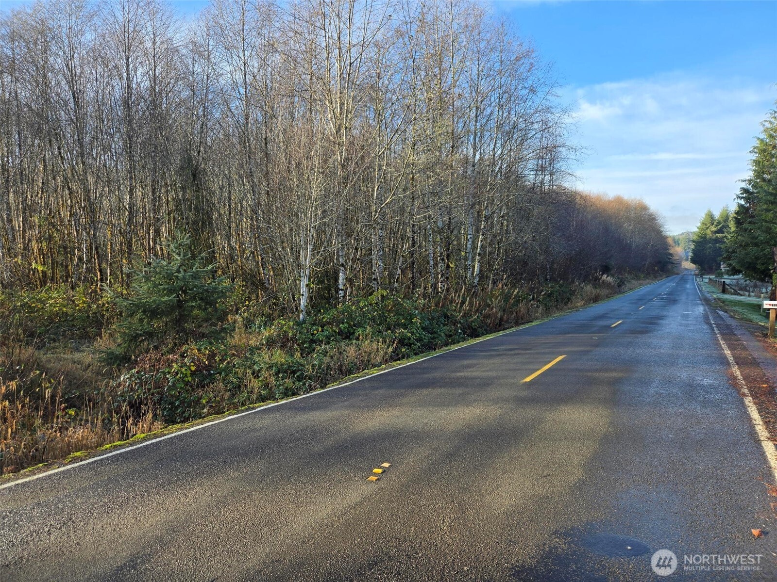 15.8 North River Road Cosmopolis, WA 98537 - Photo 2 of 6 Gallery Image 2