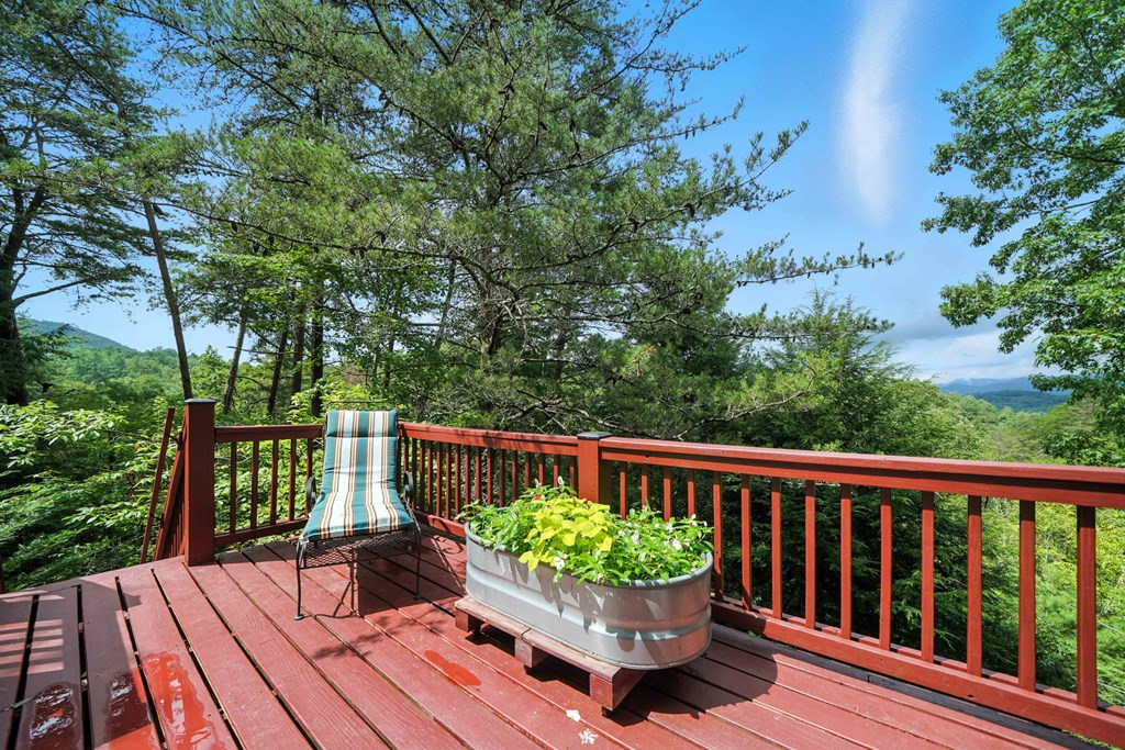 125 Laurel Mountain Road Blue Ridge, GA 30513 - Photo 2 of 29 Gallery Image 2