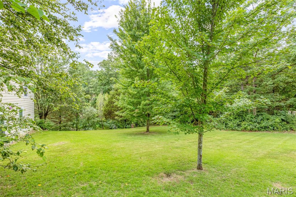 1572 Rue Calais Bonne Terre, MO 63628 - Photo 8 of 60
