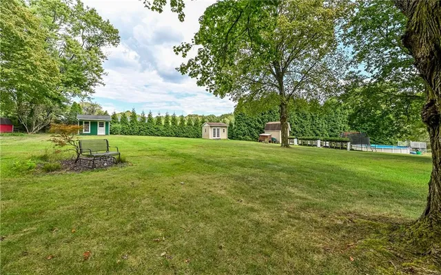 a view of a park with trees
