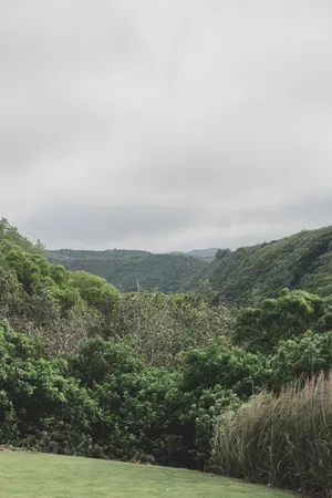a view of kitchen with stainless steel appliances granite countertop stove top oven and cabinets