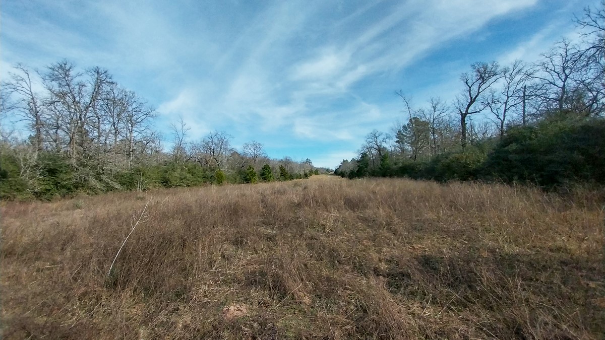 0 Fm 1511 Buffalo, TX 75831 - Photo 5 of 9 a view of a field of grass and trees