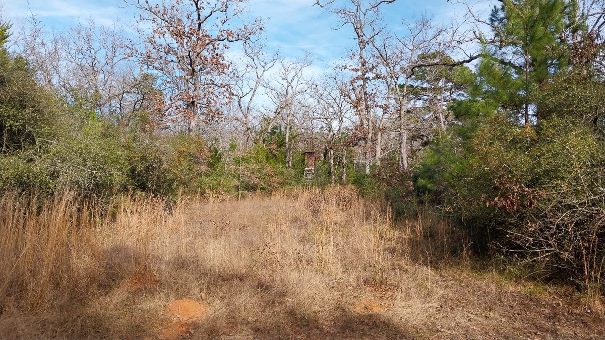 0 Fm 1511 Buffalo, TX 75831 - Photo 8 of 9 a view of a lake with a tree in the background