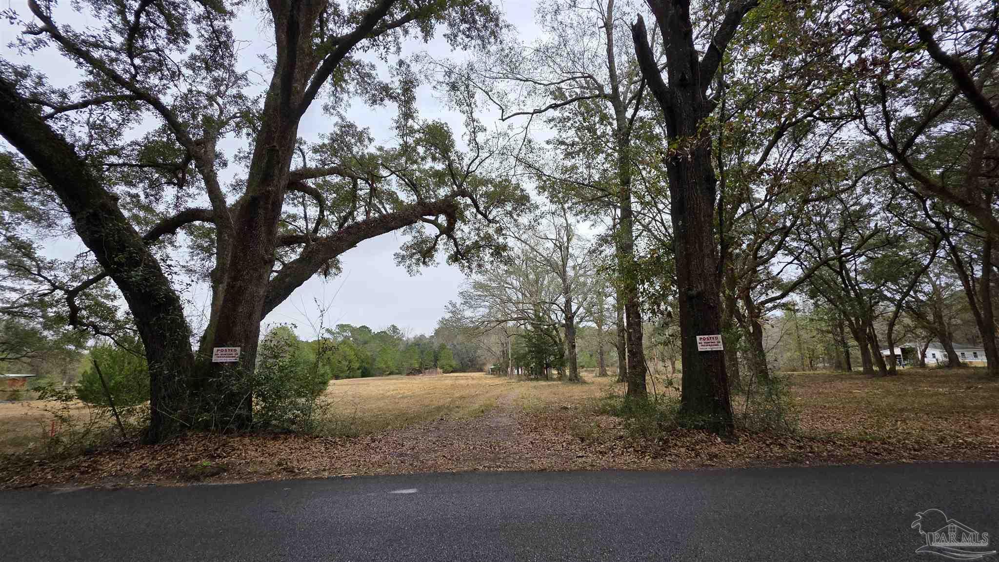 Lot 2 Tidwell Road Pace, FL 32571 - Photo 3 of 14