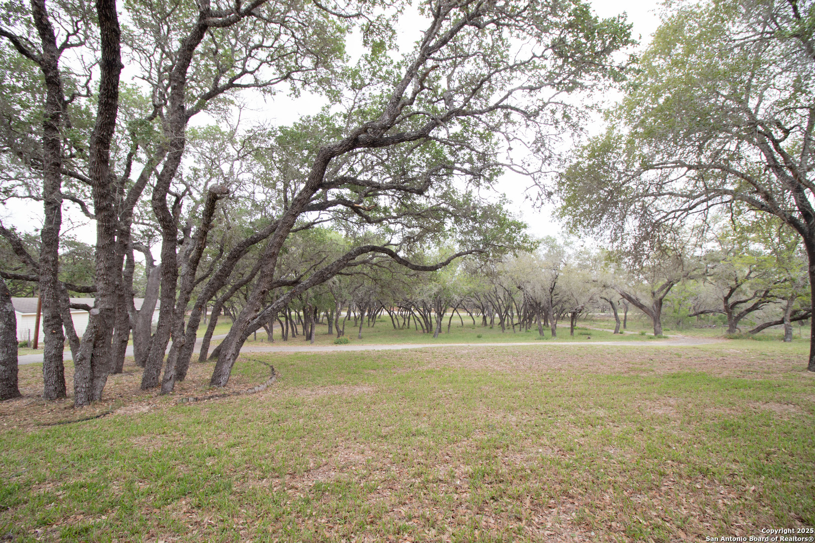 797 Killarney Road Floresville, TX 78114 - Photo 30 of 35 a view of dirt field with trees around