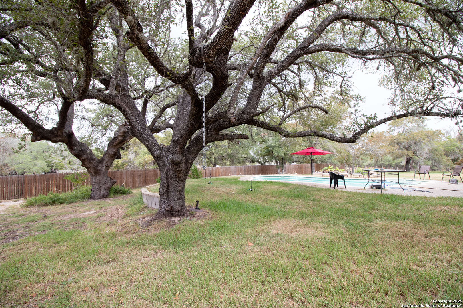 797 Killarney Road Floresville, TX 78114 - Photo 3 of 35 a view of backyard with table and chairs and a large tree