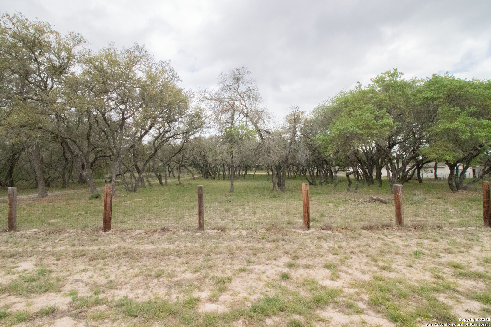 797 Killarney Road Floresville, TX 78114 - Photo 31 of 35 a backyard of a house with lots of green space