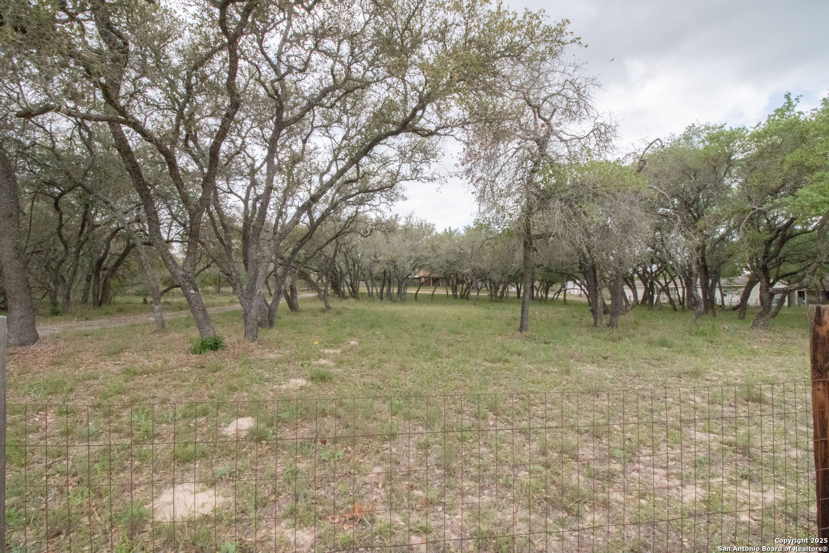 797 Killarney Road Floresville, TX 78114 - Photo 32 of 35 a view of outdoor space with trees