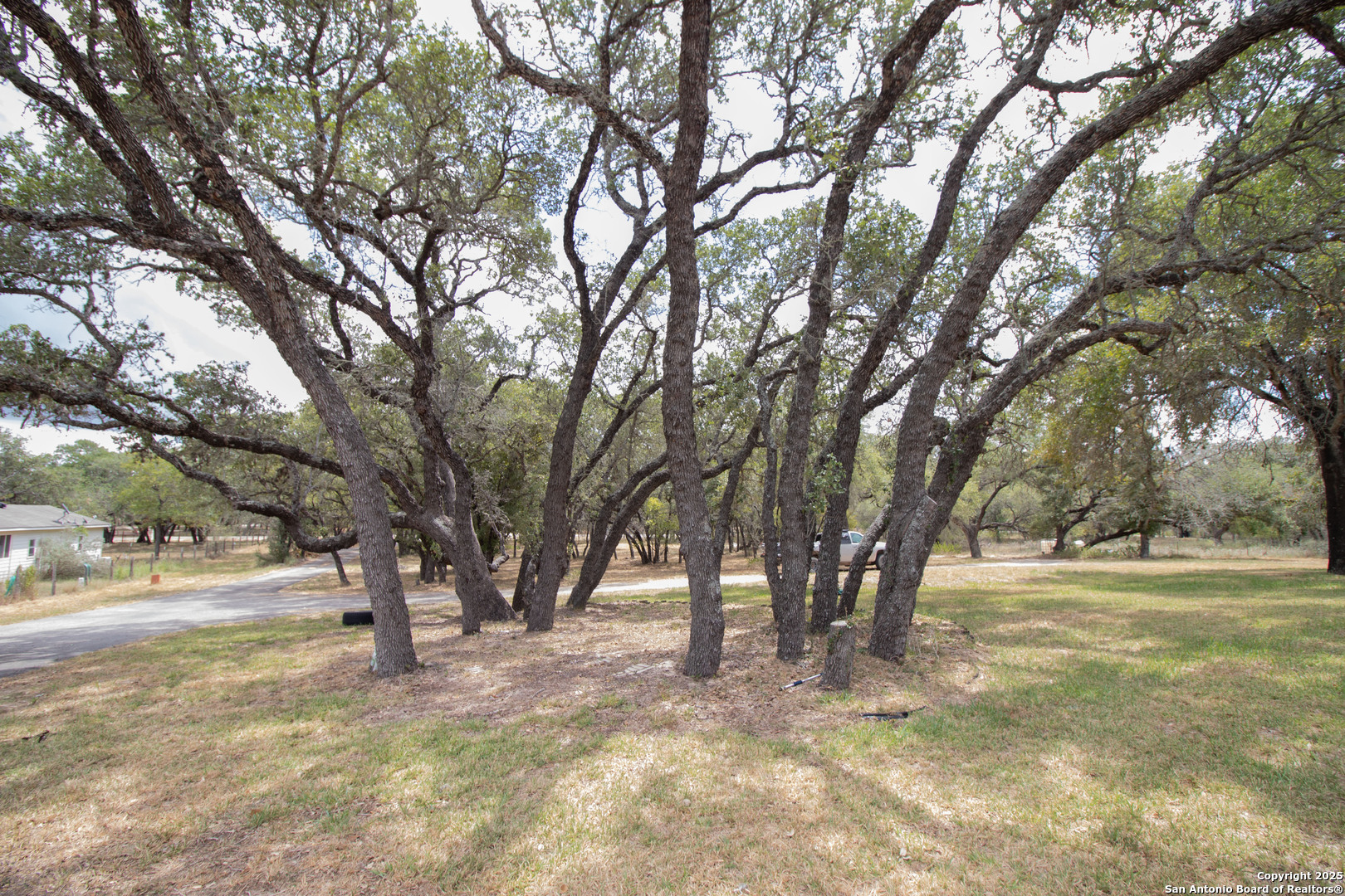 797 Killarney Road Floresville, TX 78114 - Photo 33 of 35 a view of outdoor space with trees
