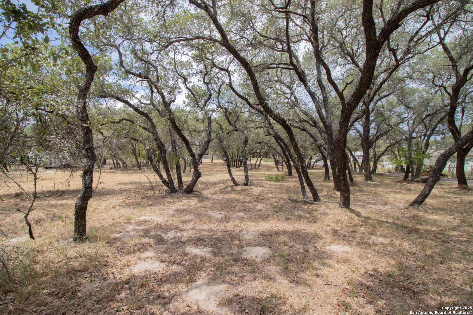 797 Killarney Road Floresville, TX 78114 - Photo 34 of 35 a view of empty trees with yard