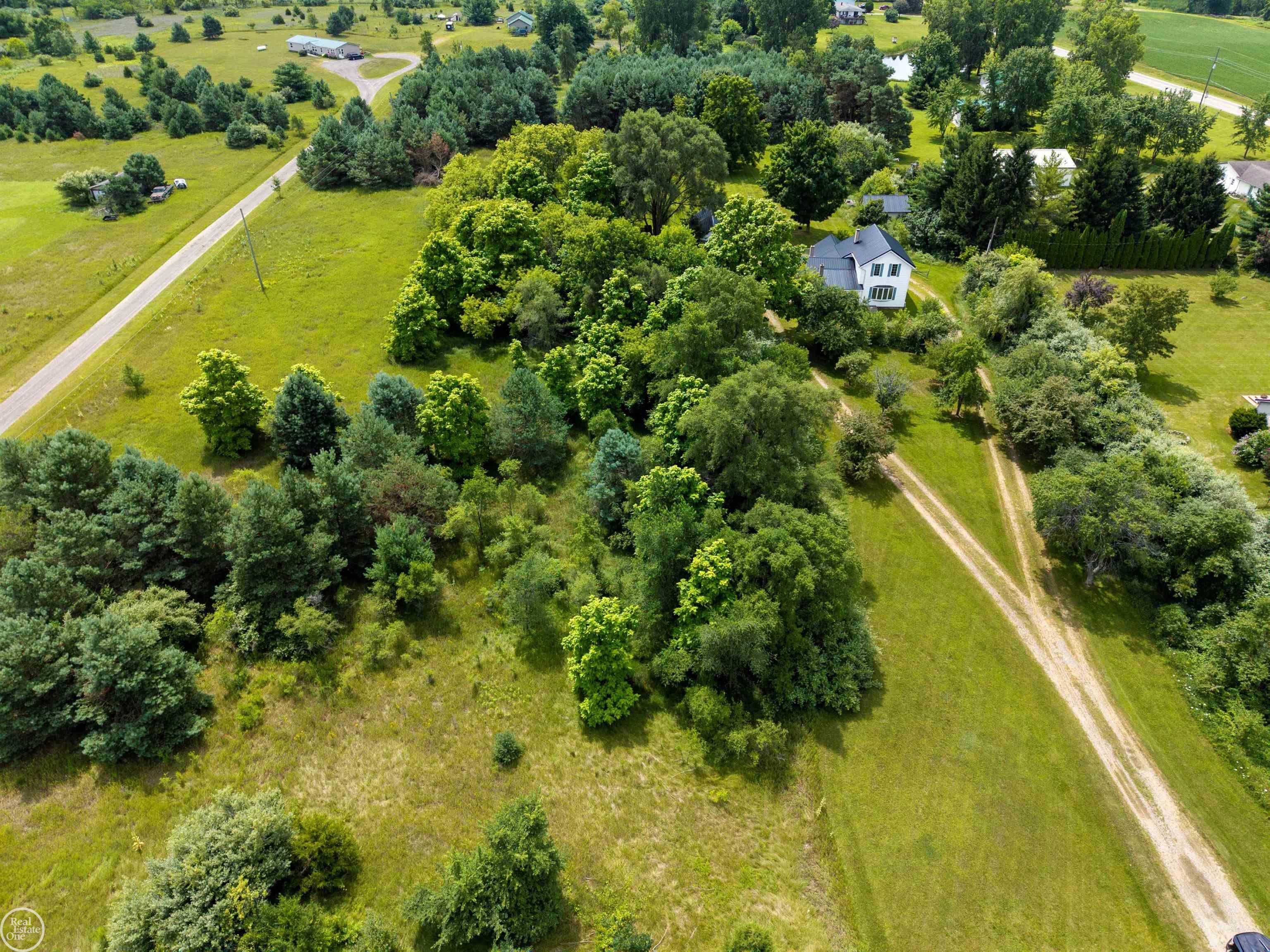 2538 East Burnside Road North Branch, MI 48461 - Photo 51 of 56