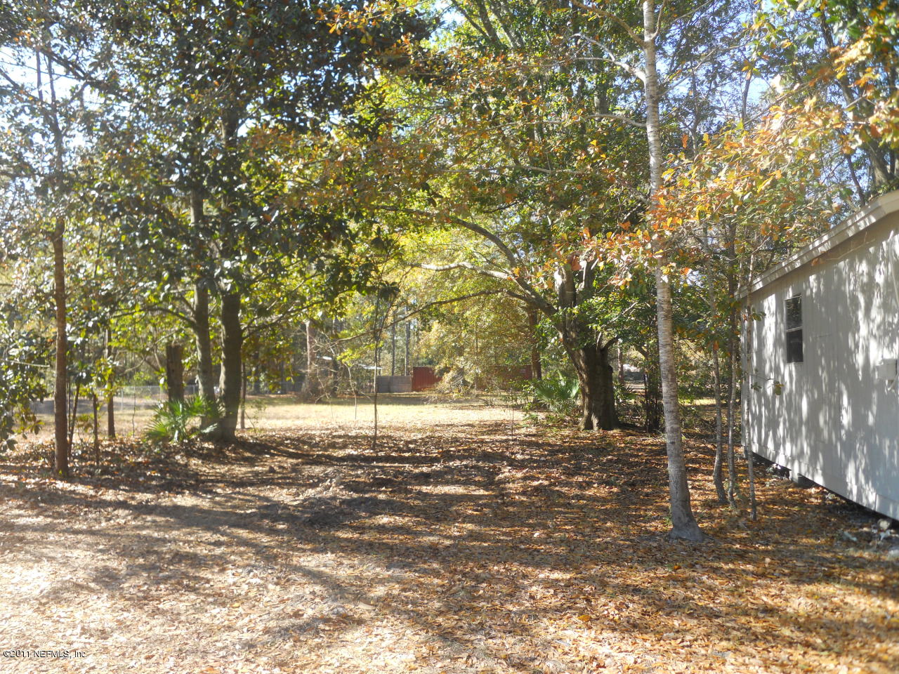 246 Alvis Road Jacksonville, FL 32220 - Photo 54 of 54 Huge yard with beautiful trees