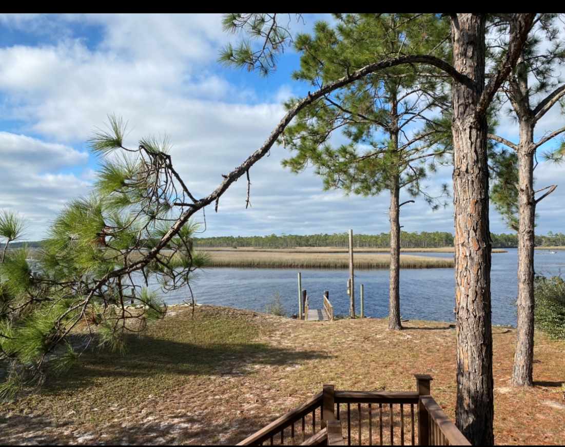 546 River Road Carrabelle, FL 32322 - Photo 4 of 5 Gallery Image 4