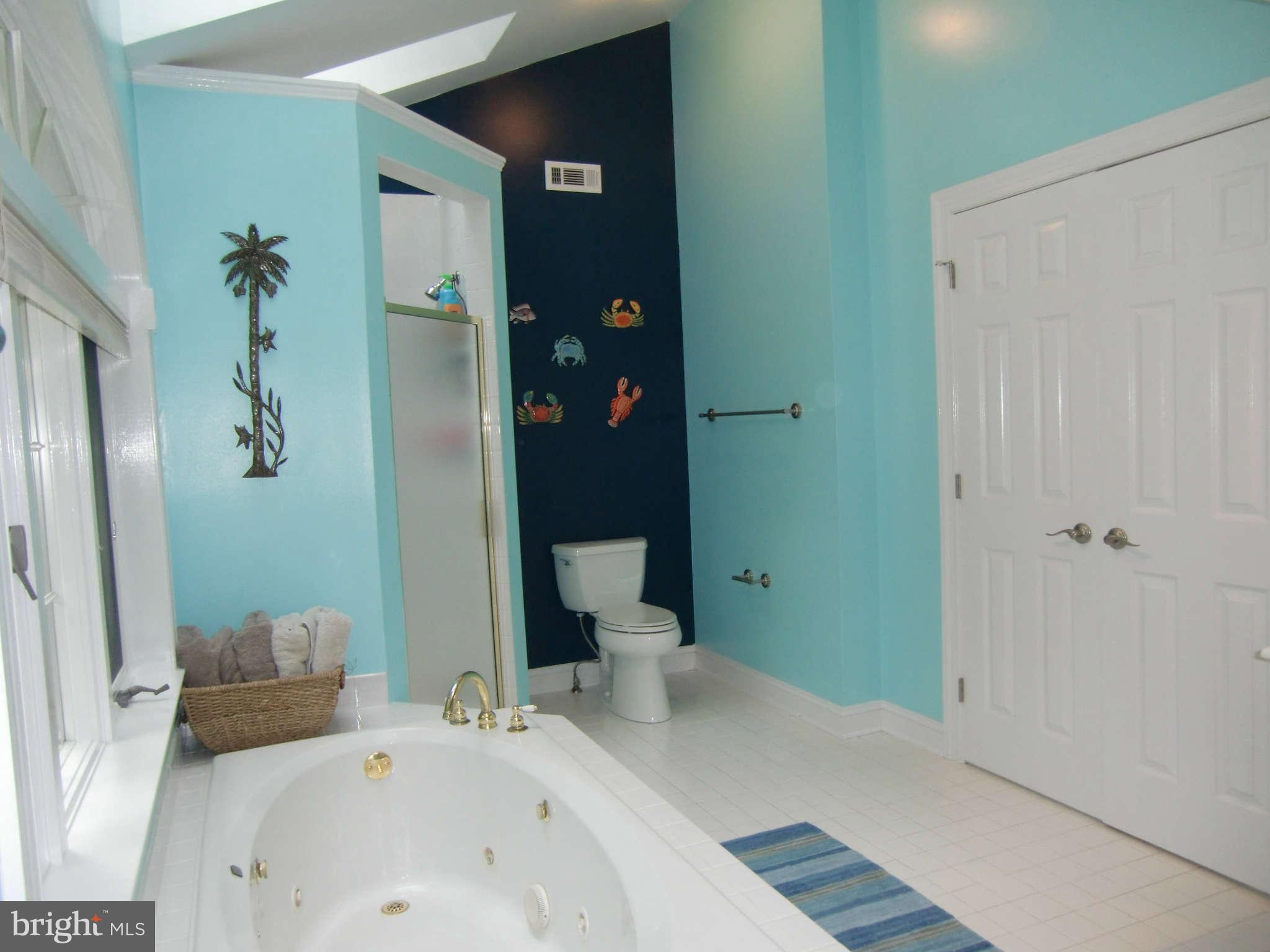 14407 Katie Road Phoenix, MD 21131 - Photo 18 of 30 Bath Master
