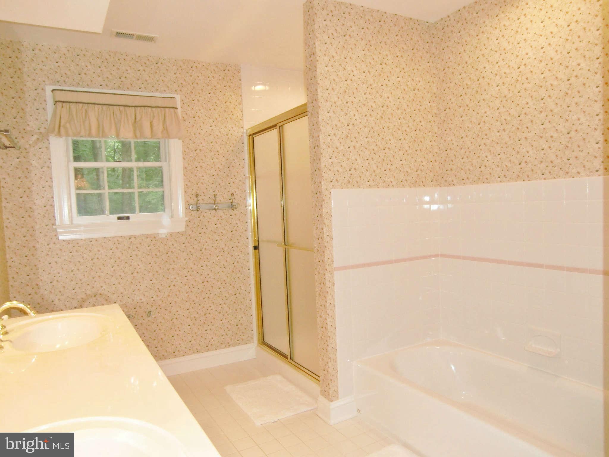 14407 Katie Road Phoenix, MD 21131 - Photo 19 of 30 Bath