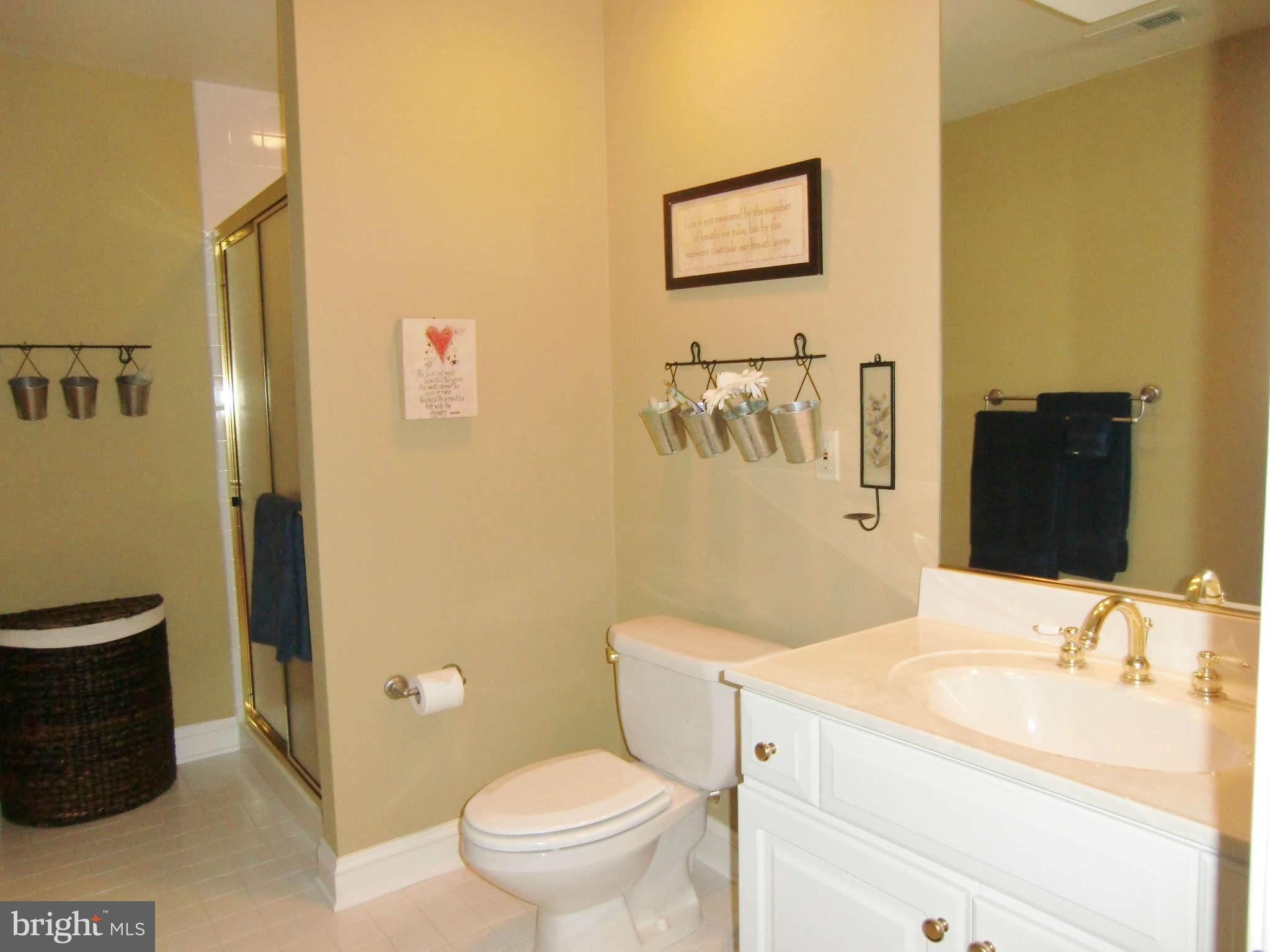 14407 Katie Road Phoenix, MD 21131 - Photo 20 of 30 Bath