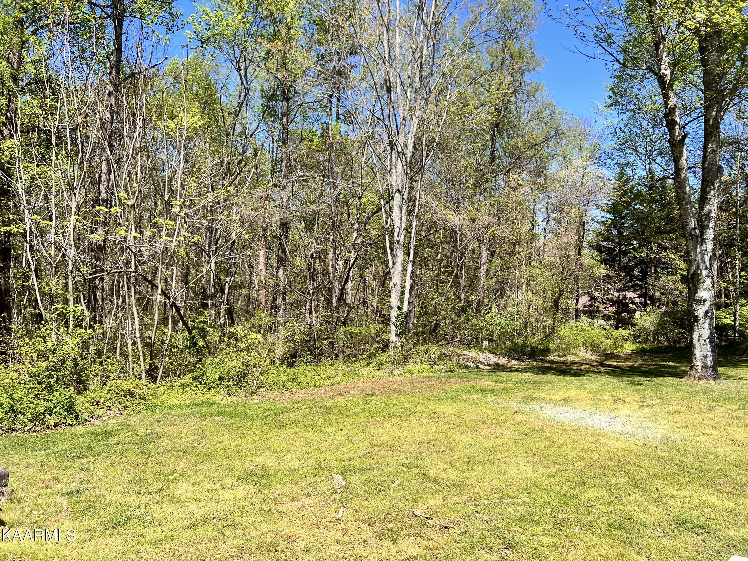 9515 West Emory Road Knoxville, TN 37931 - Photo 22 of 27 Back Yard