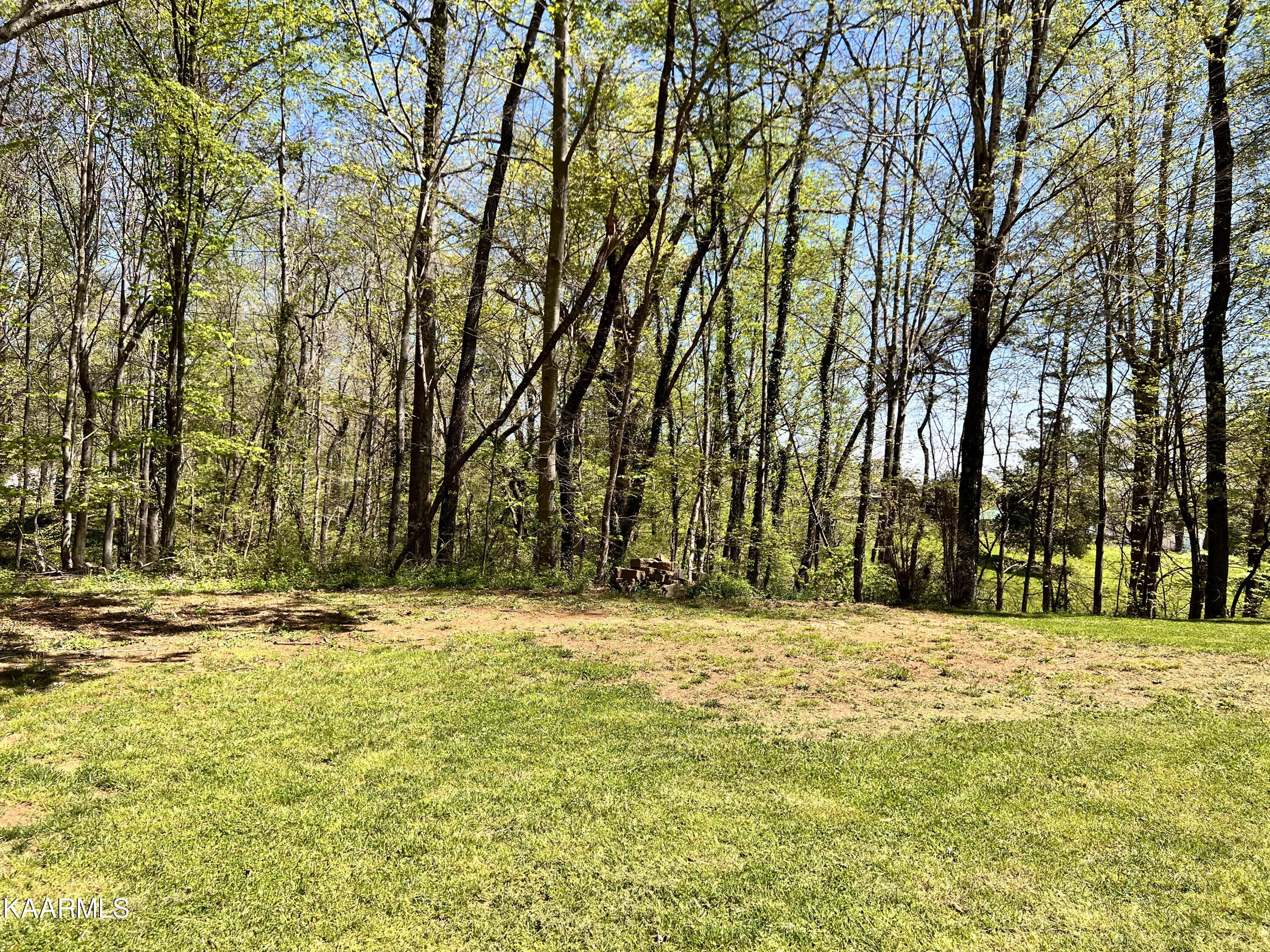 9515 West Emory Road Knoxville, TN 37931 - Photo 23 of 27 Back Yard