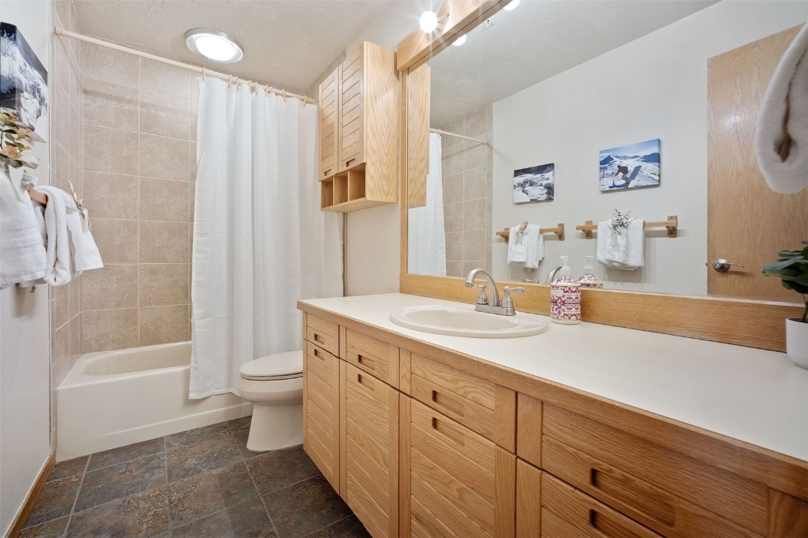 91400 Ryan Gulch Road, Unit 91425 Silverthorne, CO 80498 - Photo 20 of 42 a bathroom with a sink a toilet and a bathtub