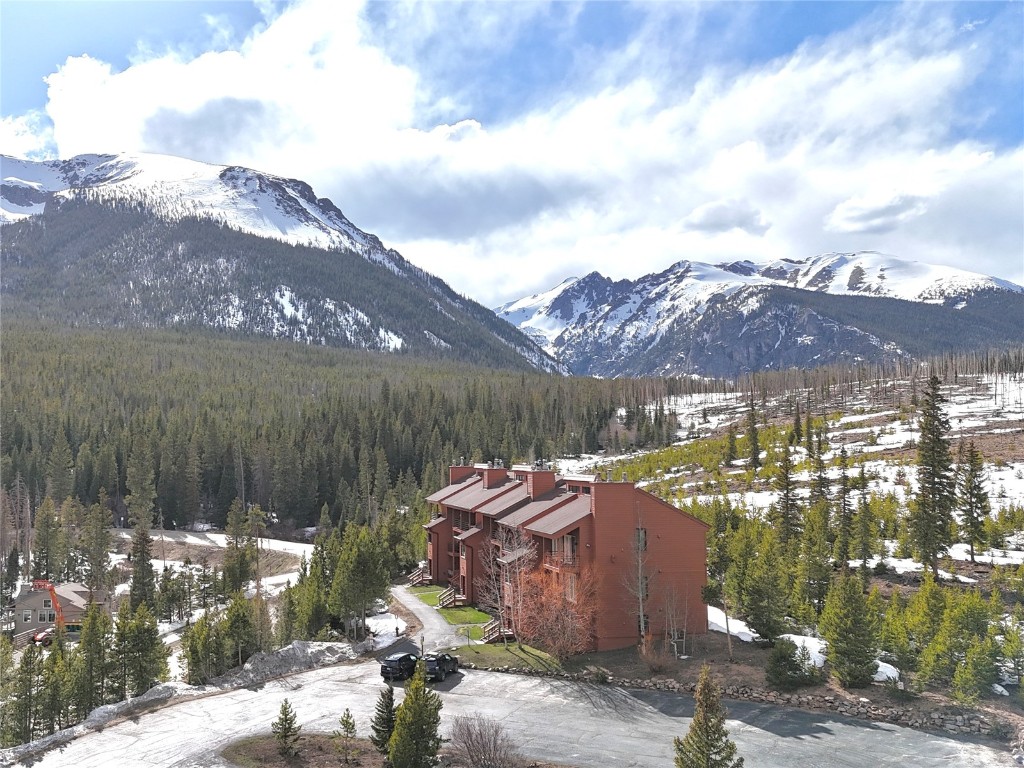 91400 Ryan Gulch Road, Unit 91425 Silverthorne, CO 80498 - Photo 29 of 42 a view of a terrace with a garden