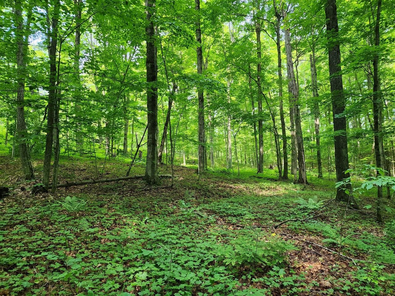32 Goshawk Ridge Traverse City, MI 49684 - Photo 7 of 20