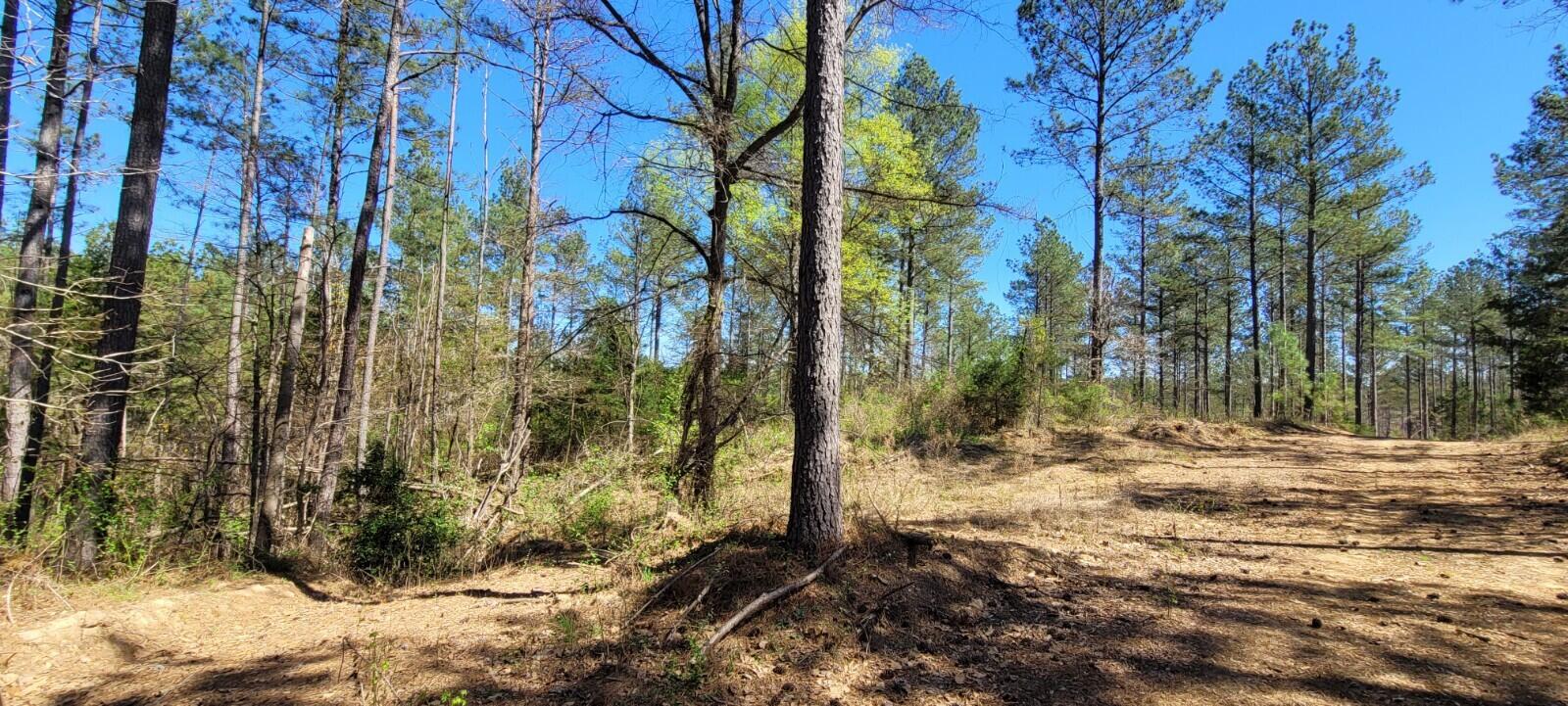 0 Sam Hodges Road Hodges, SC 29653 - Photo 2 of 10
