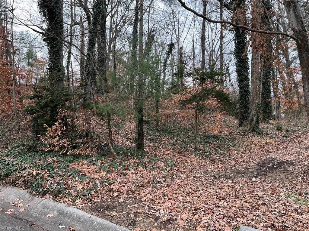 0 Robin Road Mount Airy, NC 27030 - Photo 1 of 2 Gallery Image 1