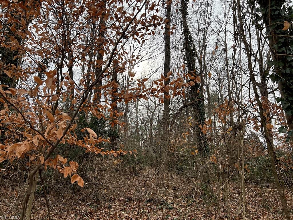 0 Robin Road Mount Airy, NC 27030 - Photo 2 of 2 Gallery Image 2