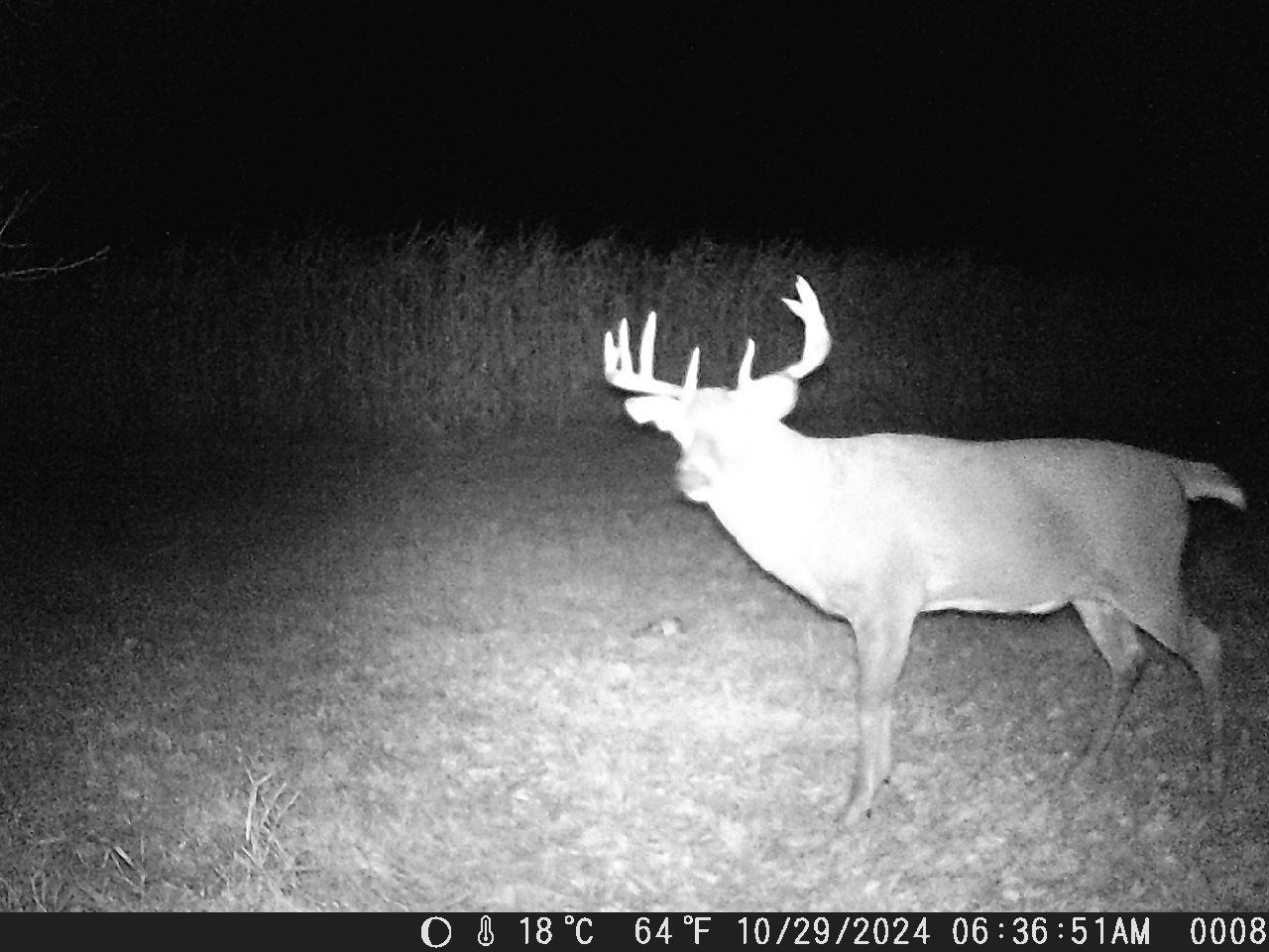 Tbd Deer Road Canton, MN 55922 - Photo 15 of 18 Gallery Image 15