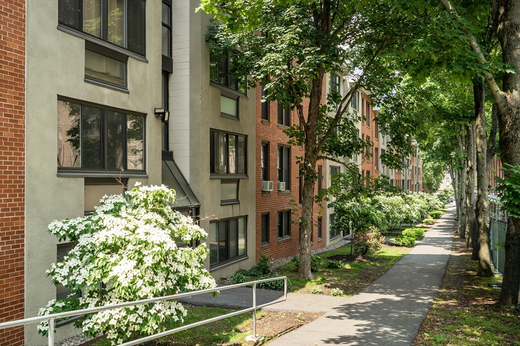 32 Juniper Street, Unit 91 Brookline, MA 02445 - Photo 17 of 21 a front view of a house with a garden