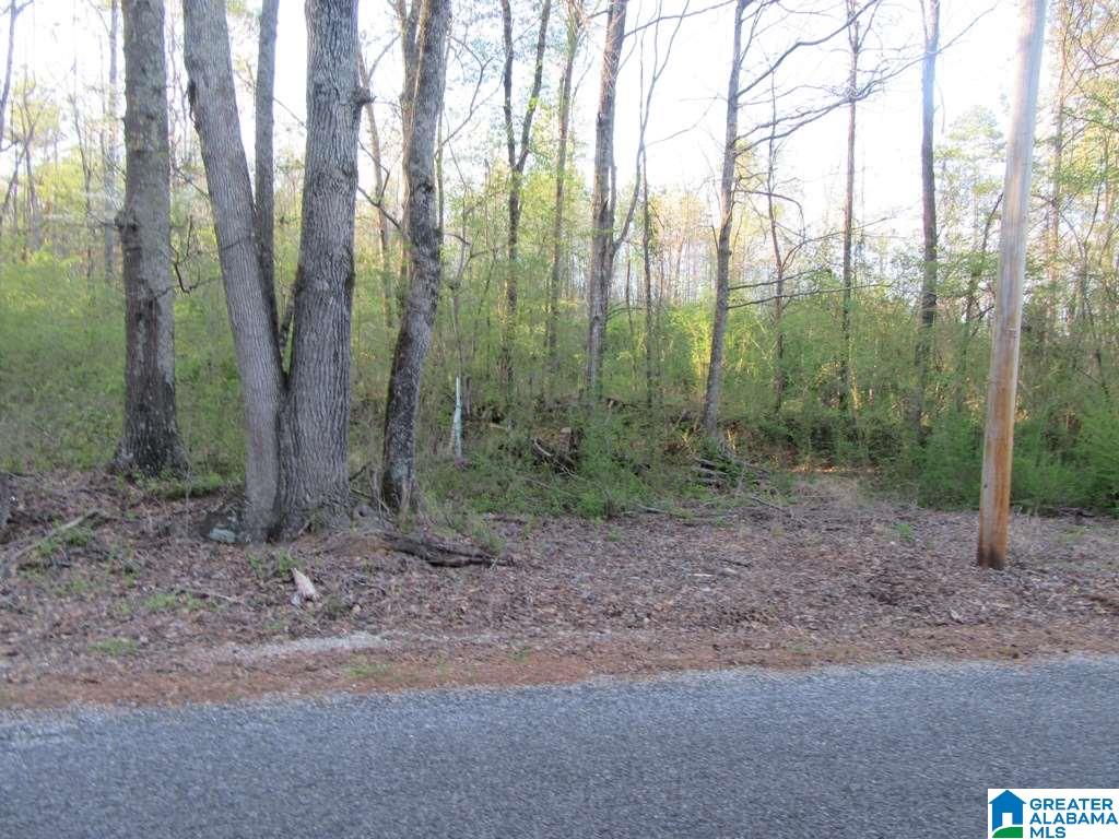 0 Cedar Springs Road, Unit 1 Talladega, AL 35160 - Photo 3 of 8