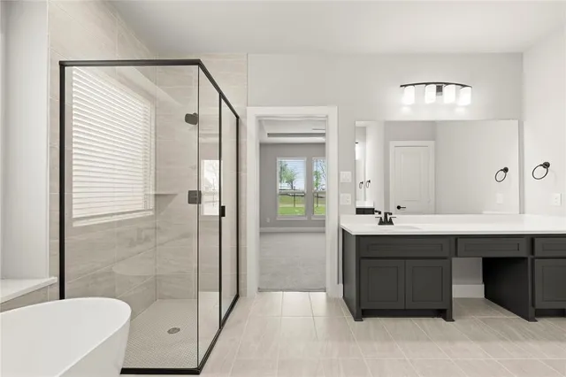 a bathroom with a double vanity sink mirror and shower