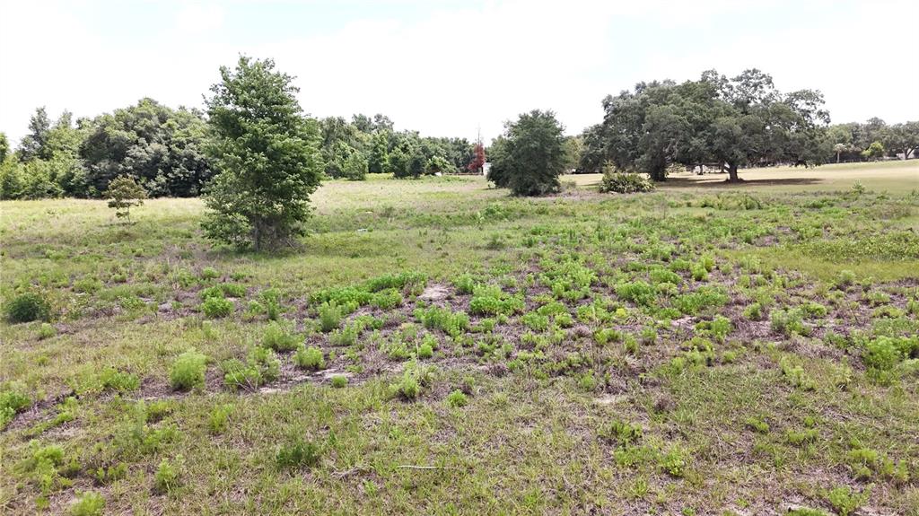 Sonoma Ridge Road Clermont, FL 34715 - Photo 8 of 14