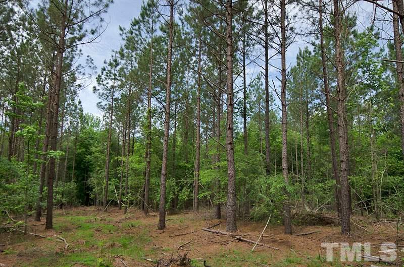 3100 Baptist Road Durham, NC 27703 - Photo 2 of 10 a view of a forest