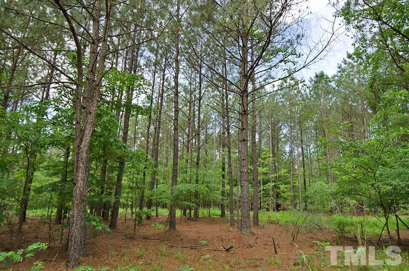 3100 Baptist Road Durham, NC 27703 - Photo 4 of 10 a view of a forest with trees