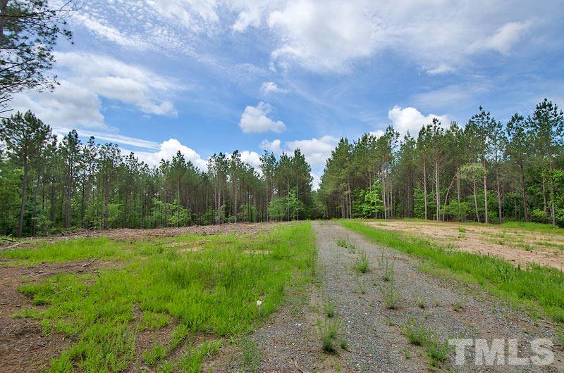 3100 Baptist Road Durham, NC 27703 - Photo 6 of 10 a view of a big yard with large trees