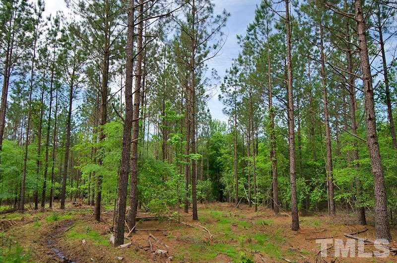 3100 Baptist Road Durham, NC 27703 - Photo 7 of 10 a view of a forest with trees