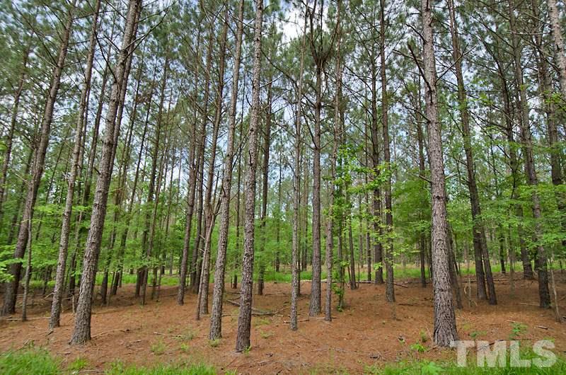 3100 Baptist Road Durham, NC 27703 - Photo 9 of 10 a view of outdoor space with lots of trees