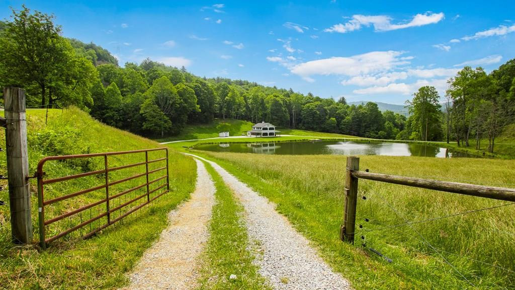 1651 Winding Stairs Road Topton, NC 28781 - Photo 2 of 100