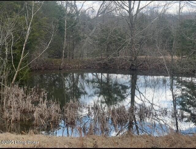 1180 C Pattons Creek Road Pendleton, KY 40055 - Photo 2 of 20 1180 c pond