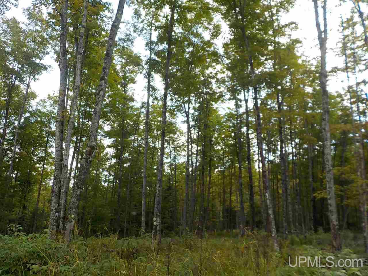 80-ac Mcclaren Road Crystal Falls, MI 49920 - Photo 16 of 27