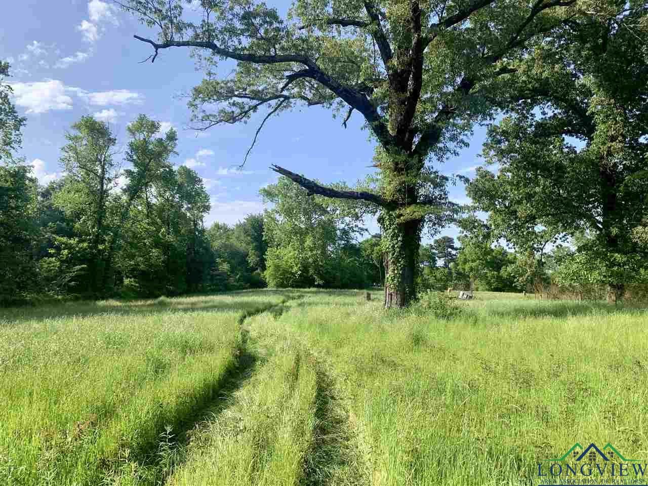 4105 Hall Road Daingerfield, TX 75638 - Photo 2 of 17 Gallery Image 2