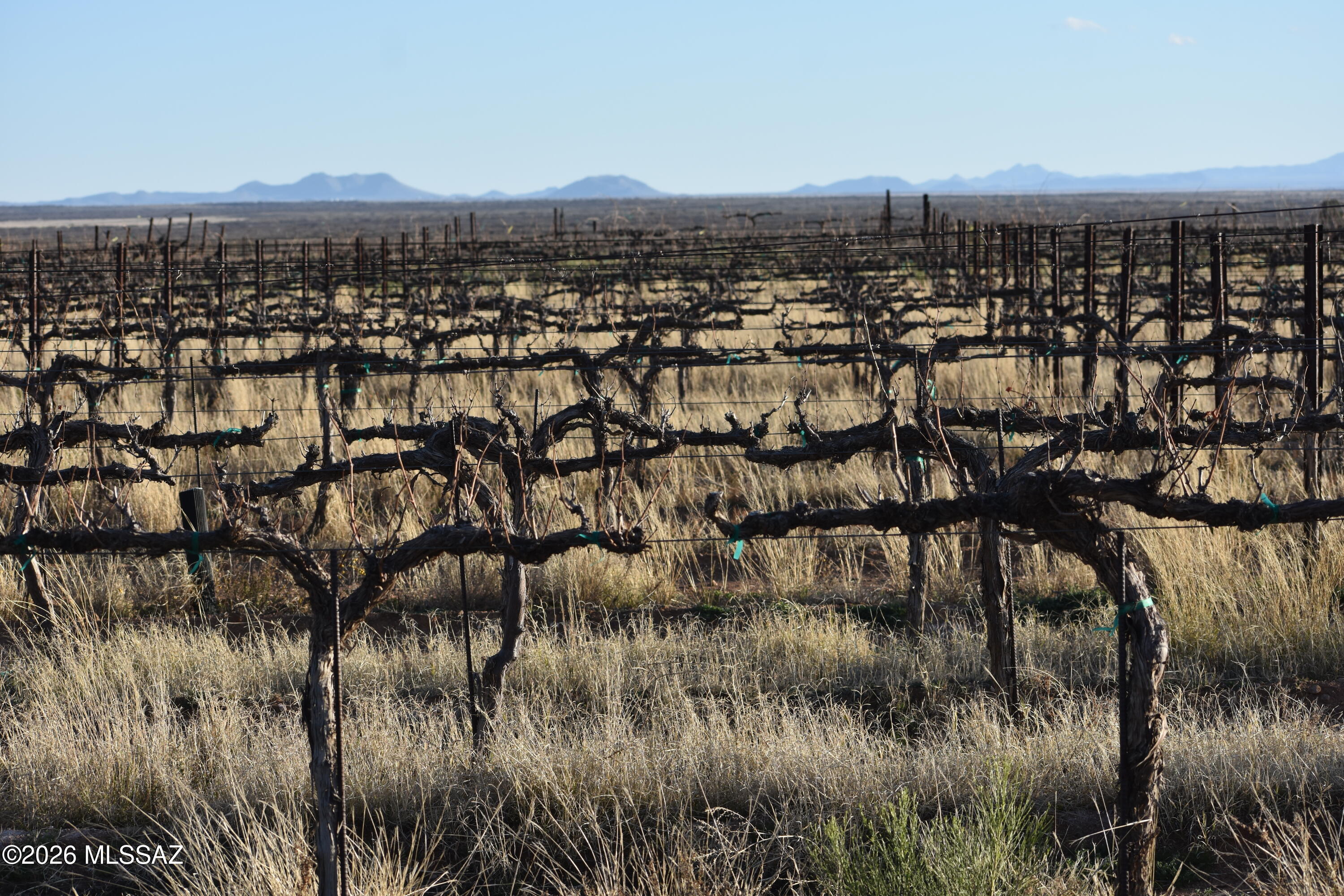 East Howling Wolf Road Willcox, AZ 85643 - Photo 48 of 49