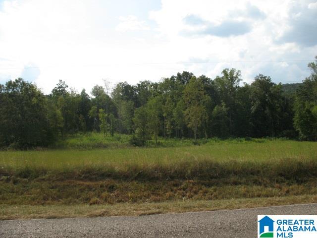 Crawford Cove Road, Unit 3 Springville, AL 35146 - Photo 5 of 6 Gallery Image 5