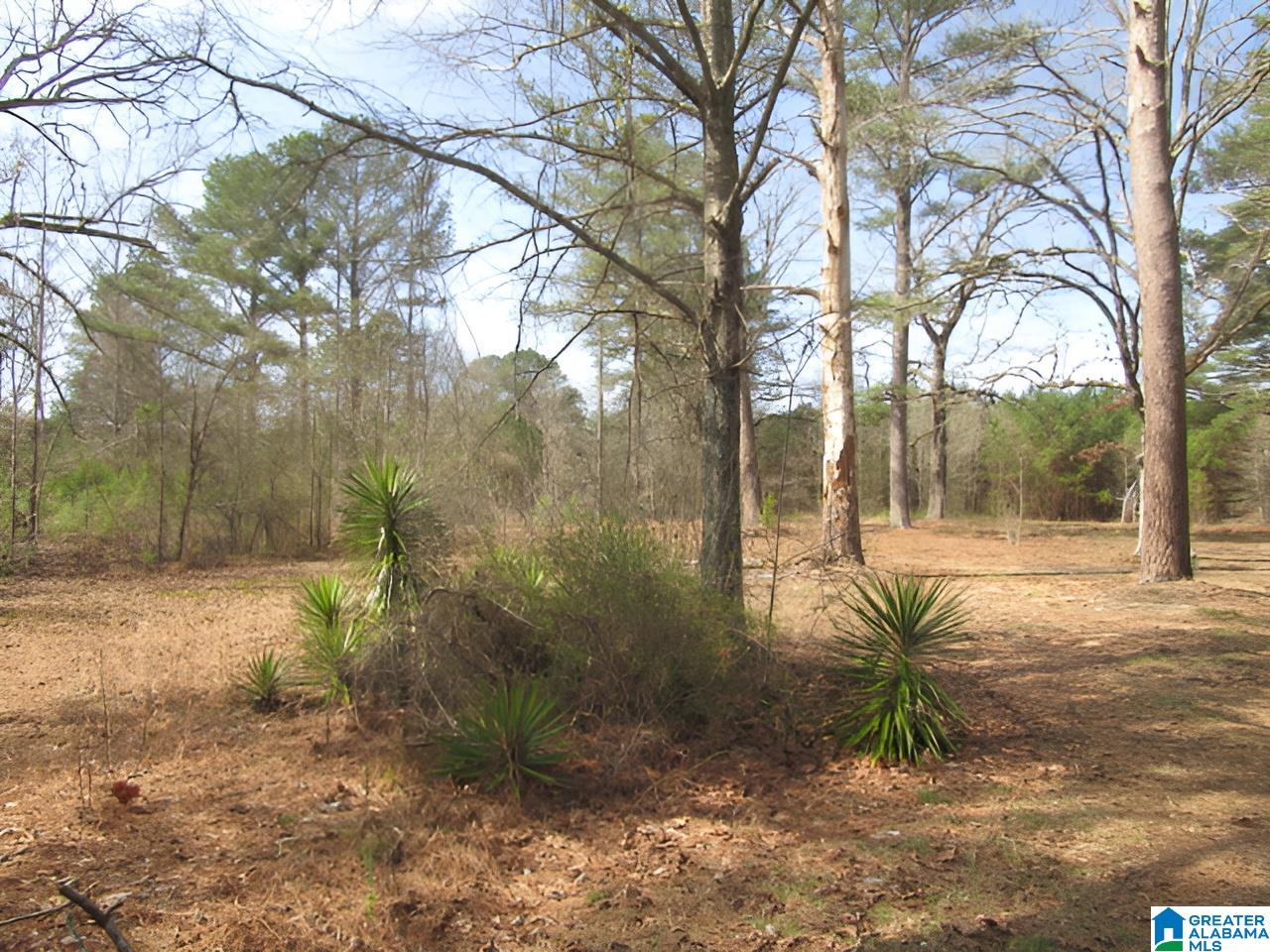 4429 Roy Webb Road Jacksonville, AL 36265 - Photo 7 of 26