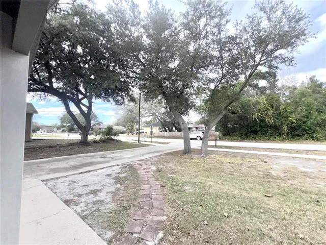 a view of a yard with large trees