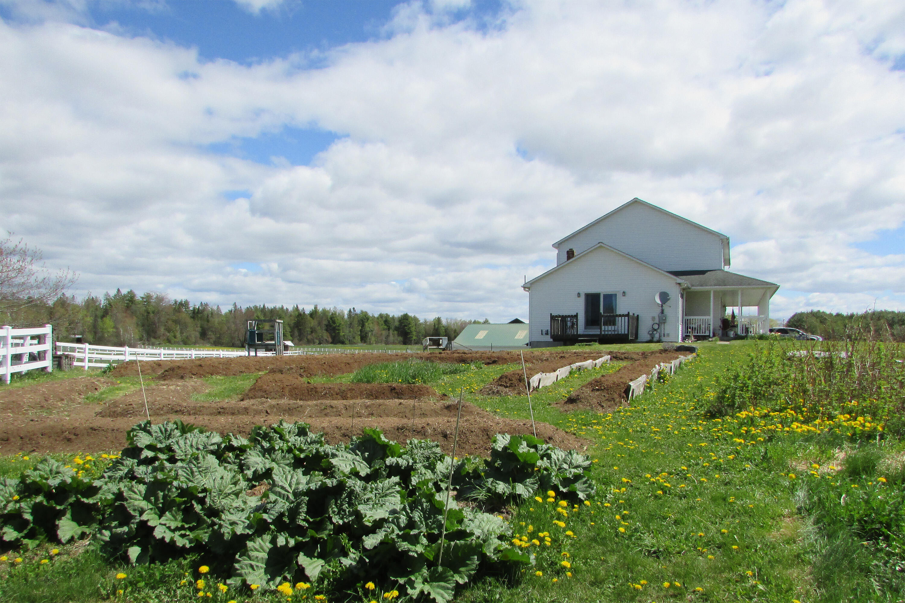 84 N Road Newburgh, ME 04444 - Photo 35 of 43 house and raised beds
