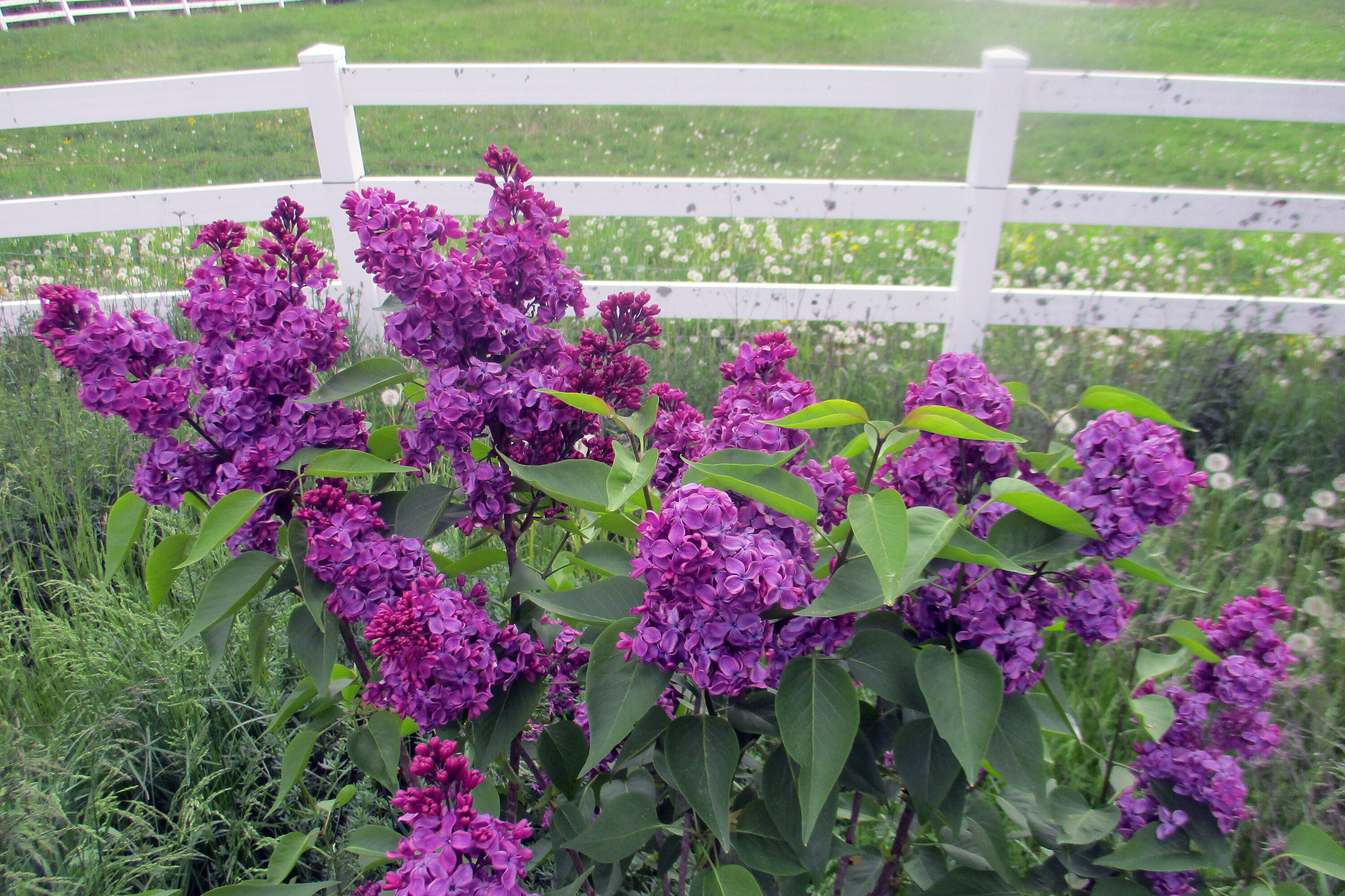 84 N Road Newburgh, ME 04444 - Photo 37 of 43 IMG_5823